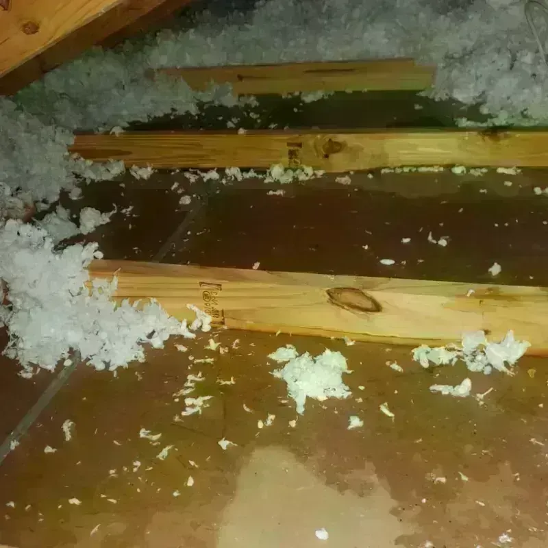 Attic Water Damage in Anadarko, OK