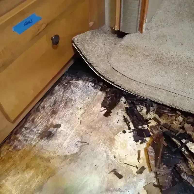 Wood Floor Water Damage in Anadarko, OK